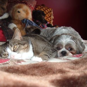 Meet your Posher, Marie